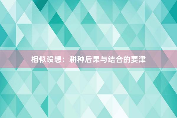 相似设想：耕种后果与结合的要津